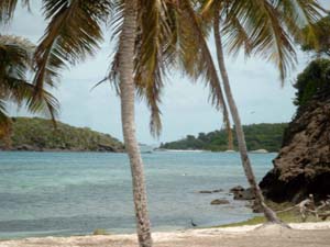 tobago cays